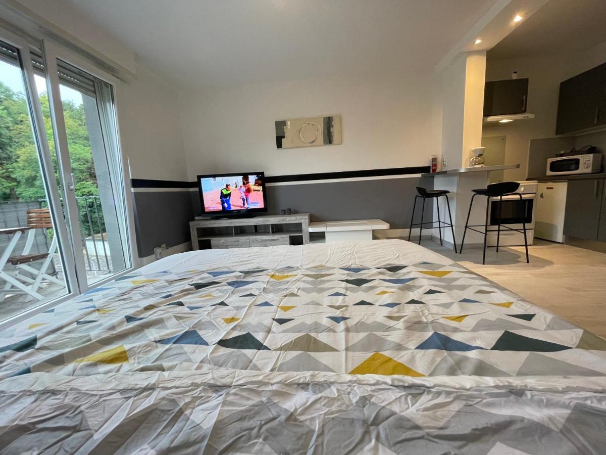 F1 Terrasse Hydromassage Led, Colmar A 5min, Calme * Wintzenheim